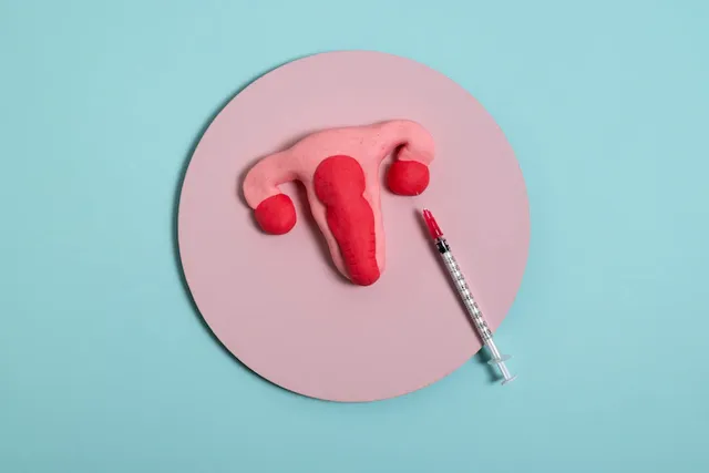 reproductive-system-syringe-top-view_23-2149703432.webp