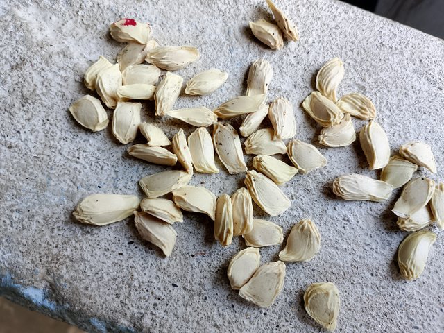 1000052437.jpg