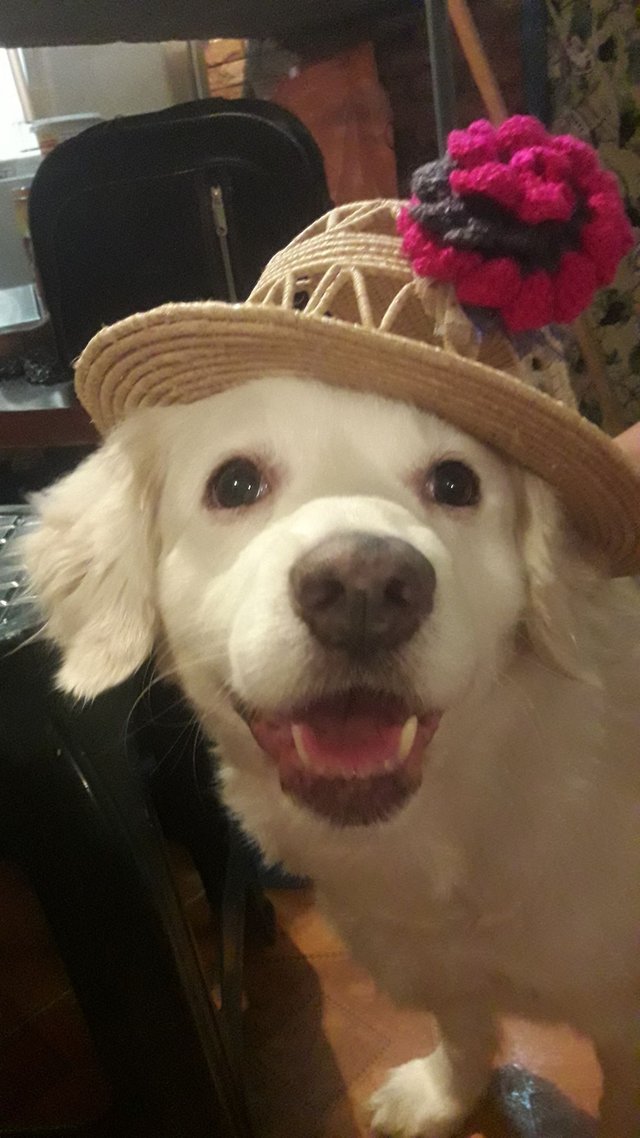 coco con sombrero.jpg