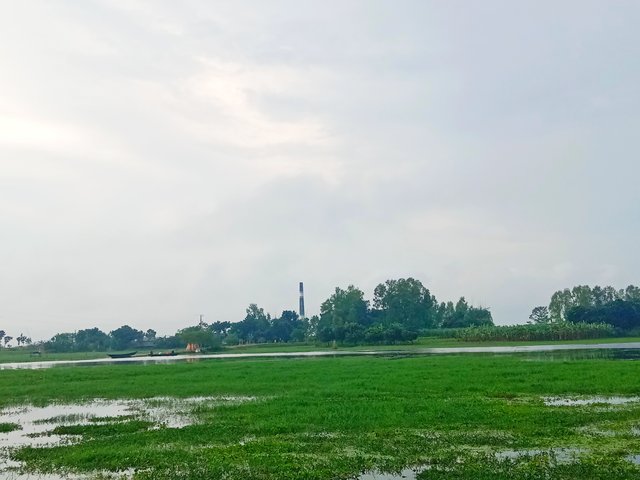 IMG_20250919_094848.jpg