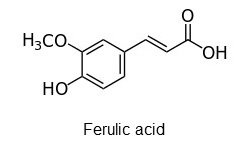 FerulicAcid.jpg