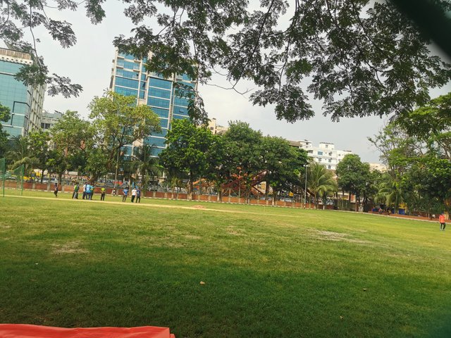 IMG_20240608_161141.jpg