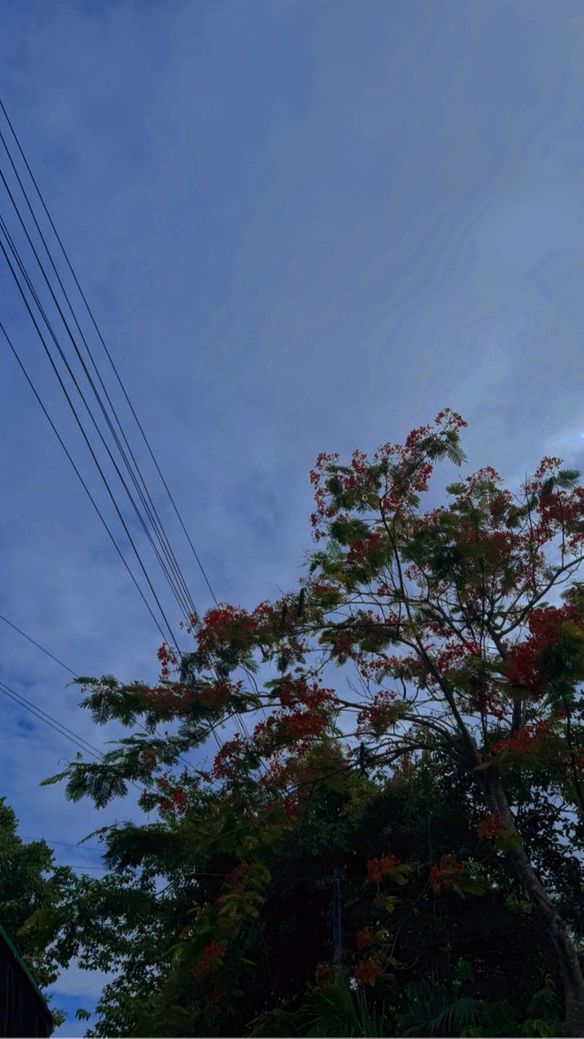 98F7BC5A-6026-4BD3-A603-90A48EC1B6AD.jpeg