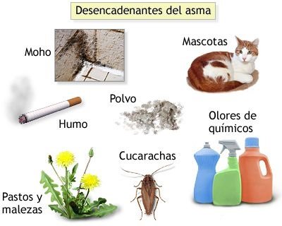 desencadenantes-asma.jpg