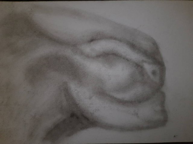 20250811_104235.jpg