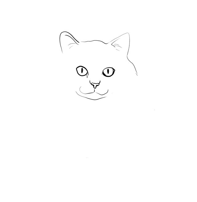 cat(490).jpg
