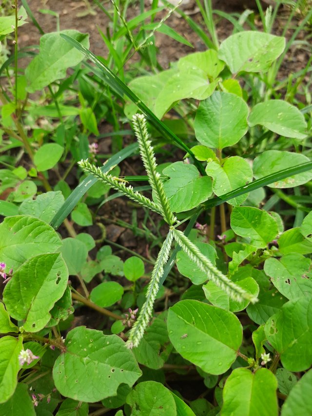20210907_164553.jpg