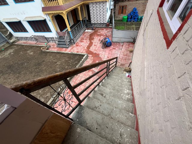 IMG_2730.jpeg