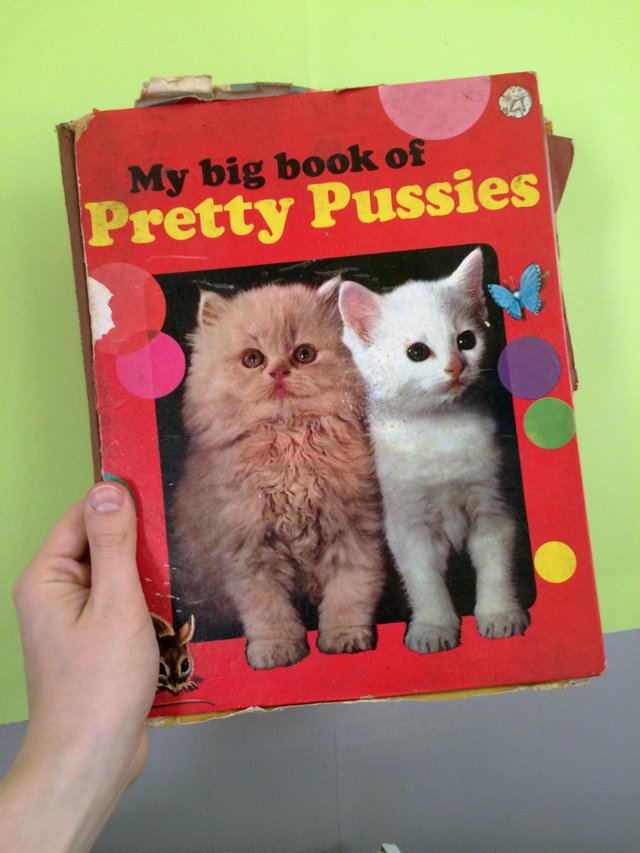cat-books15.jpg
