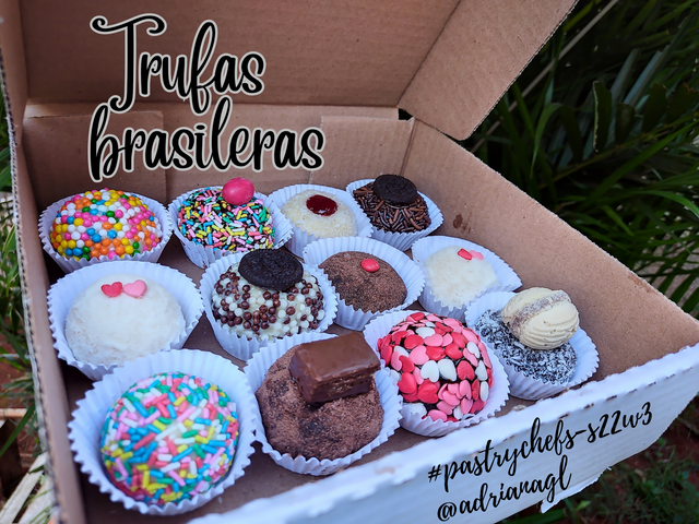 Trufas brasileras_20241230_223646_0000.png