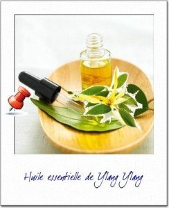 huile-essentielle-de-ylang-ylang.JPG