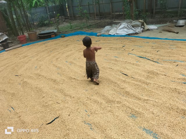 IMG20250508115753.jpg