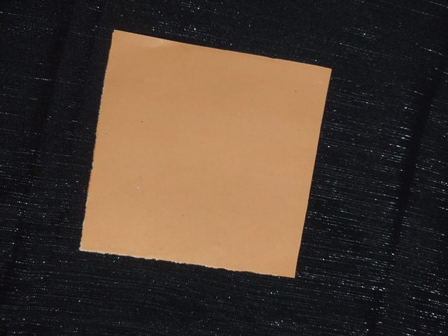 1000010285.jpg