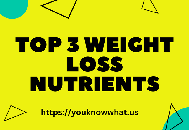 The best weight lost and fat burning nutrients.png