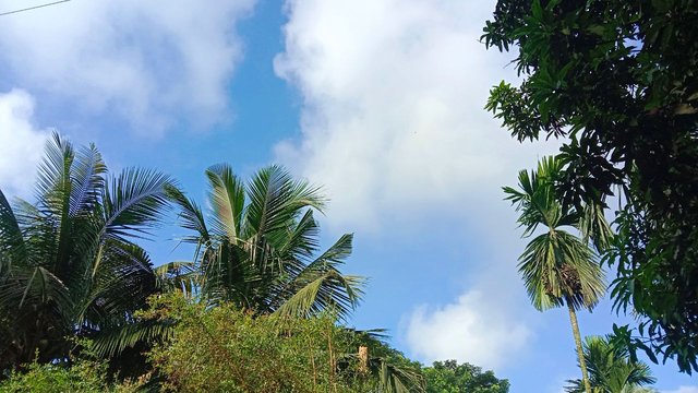 IMG_20251014_174244_675.jpg