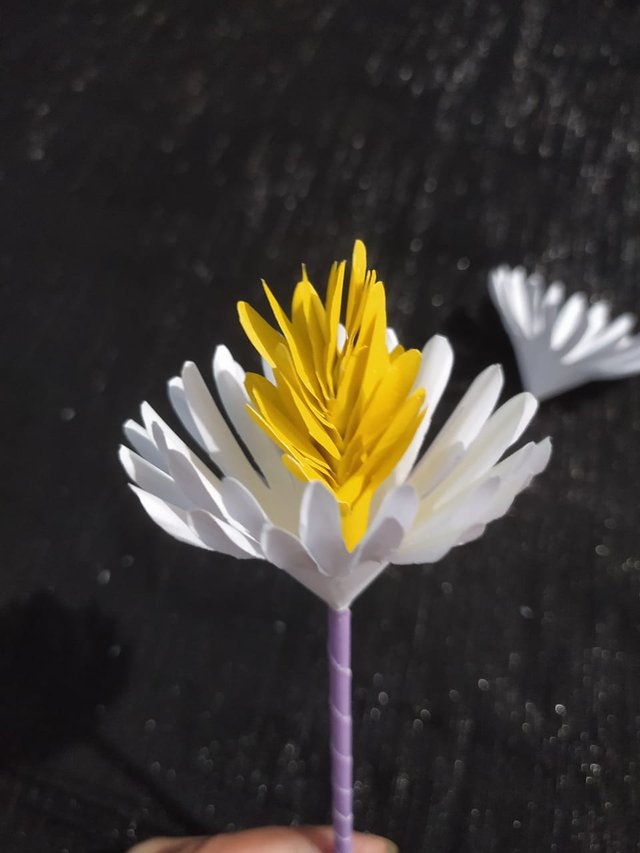 1000013760.jpg