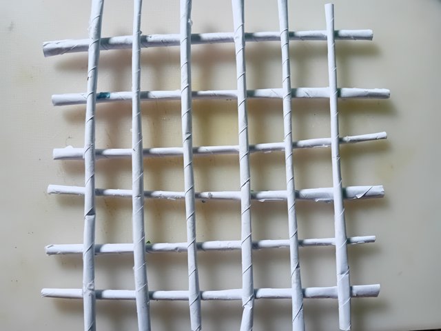 1000038547.jpg