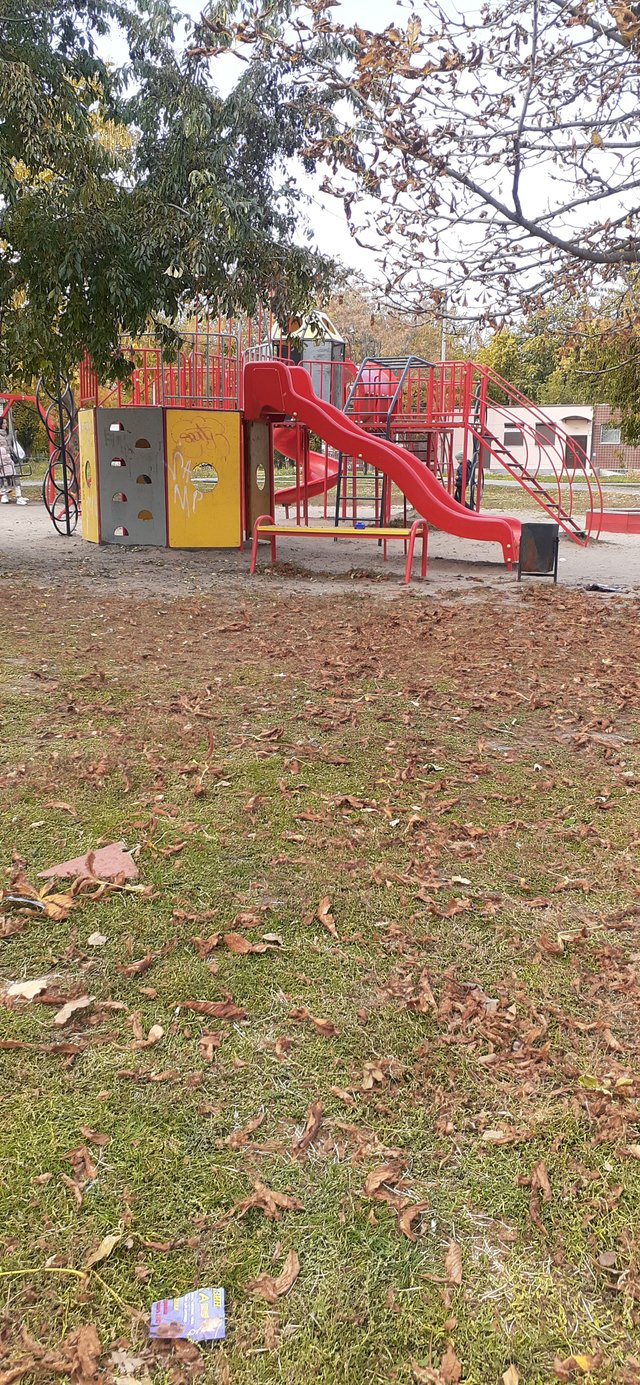 20211017_135912.jpg