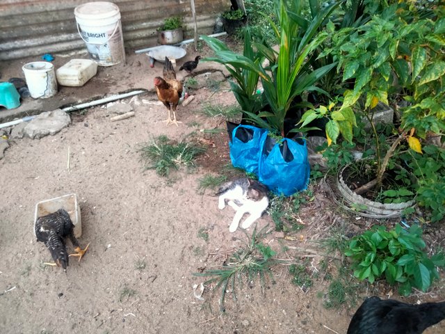 IMG20250618183315.jpg