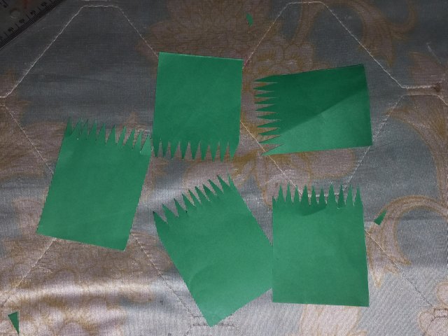 20250404_121314.jpg