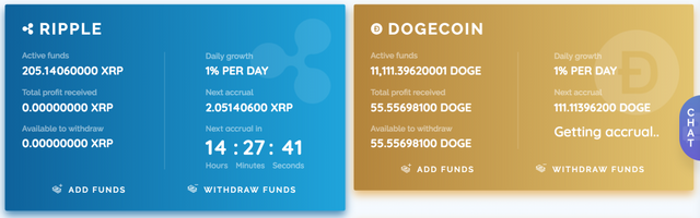 XRP-DOGE-1024x320.png