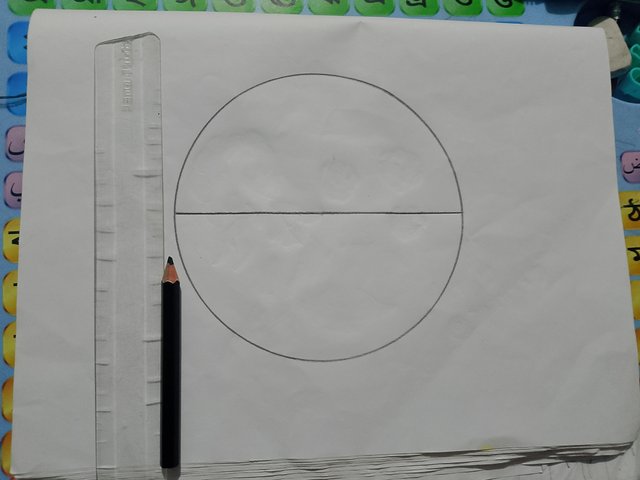 1000018463.jpg