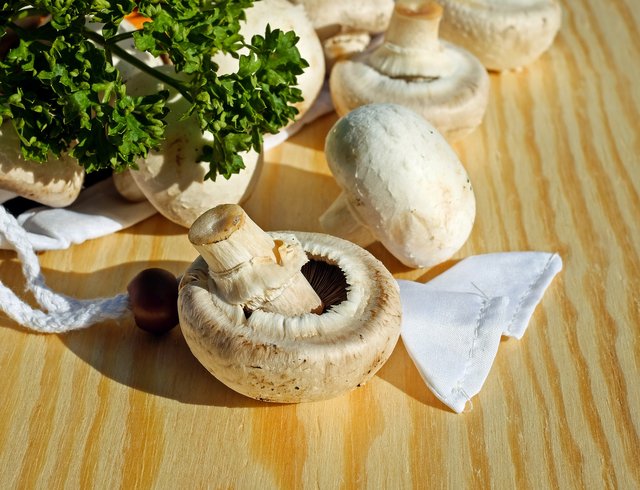 mushrooms-3199517_1920.jpg