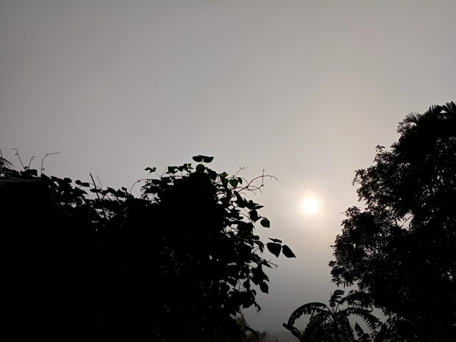 IMG20231122081601.jpg