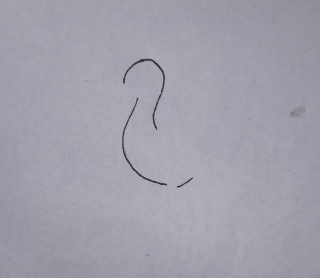 20250908_131237.jpg