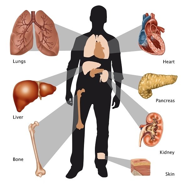 organ-transplants-6bad48.jpg