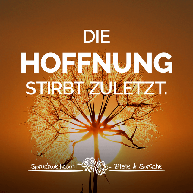 spruchwelt.com-die-hoffnung-stirbt-zuletzt.png