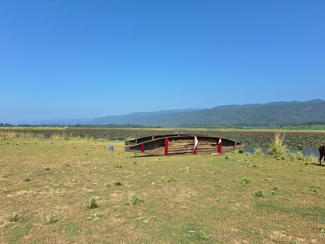 20241022_095206.jpg