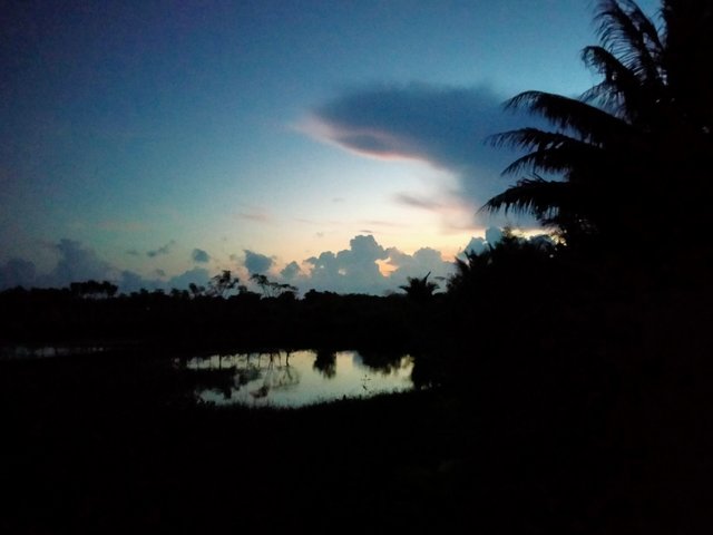IMG20250219061909.jpg