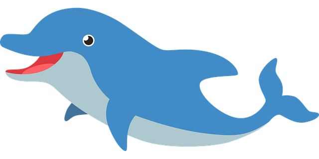 dolphin-7036679_640.png