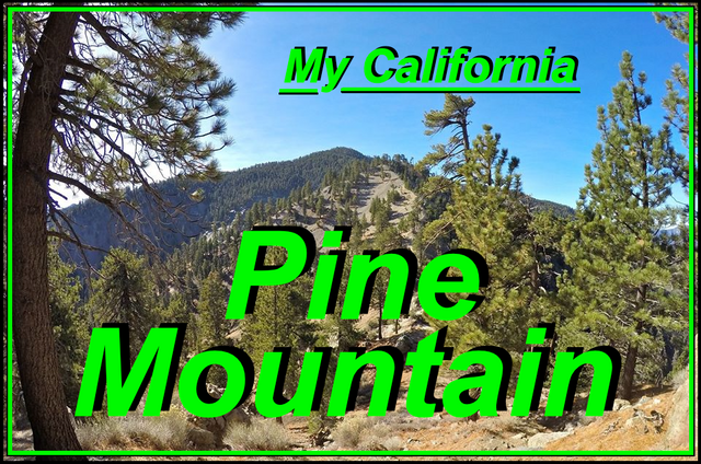 Pine mtn cover.png