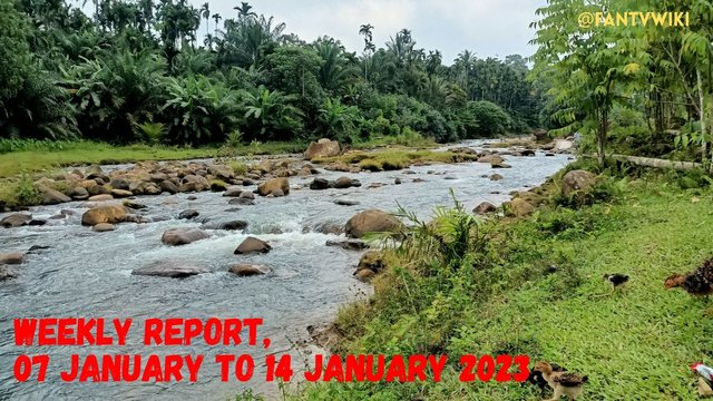 Ketahui makanan favorit mereka dan hidangan yang ingin mereka coba. (2).jpg