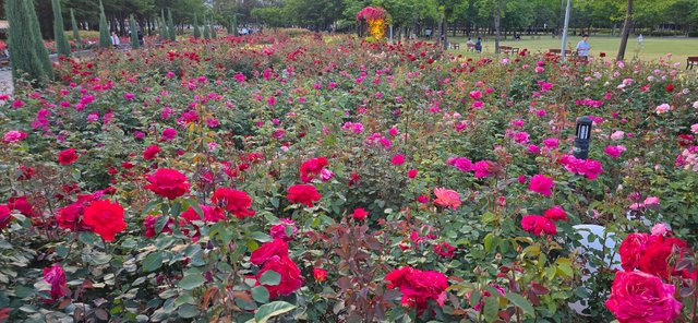 KakaoTalk_20250605_220126977_24.jpg