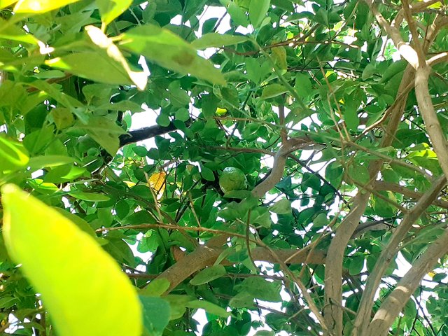 20250621_150819.jpg