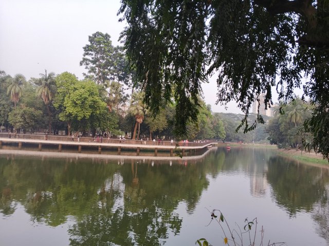 IMG_20250227_172207_848.jpg