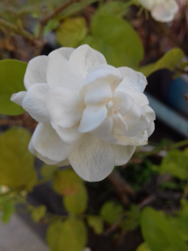 20190510_174244.jpg