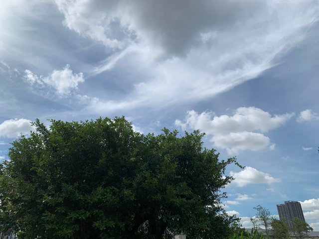 nature122.jpg