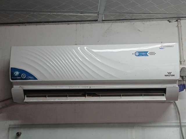1000055832.jpg