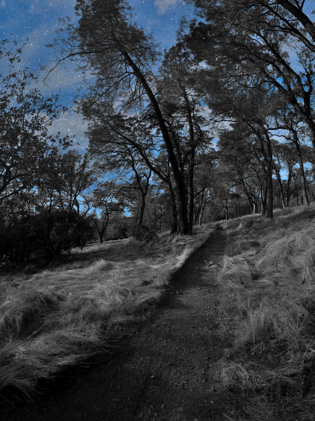 YIAC0467-bw-color-trails-a-starlit-sky-#336a.png