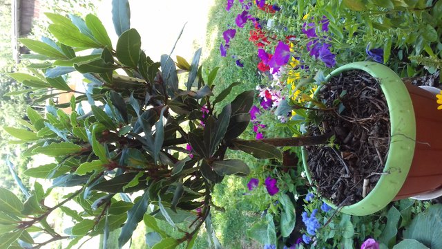 20180712_150155.jpg