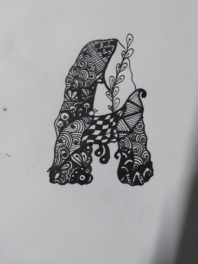 1000240411.jpg