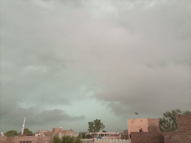 IMG_20250626_073343_790.jpg