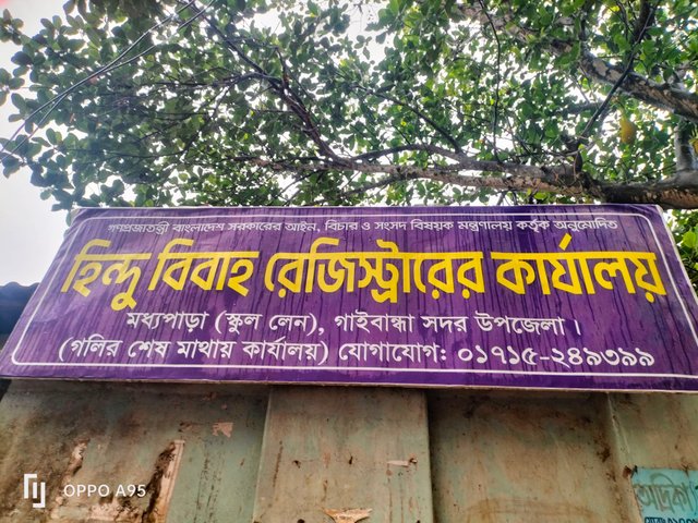 IMG20250417110334.jpg