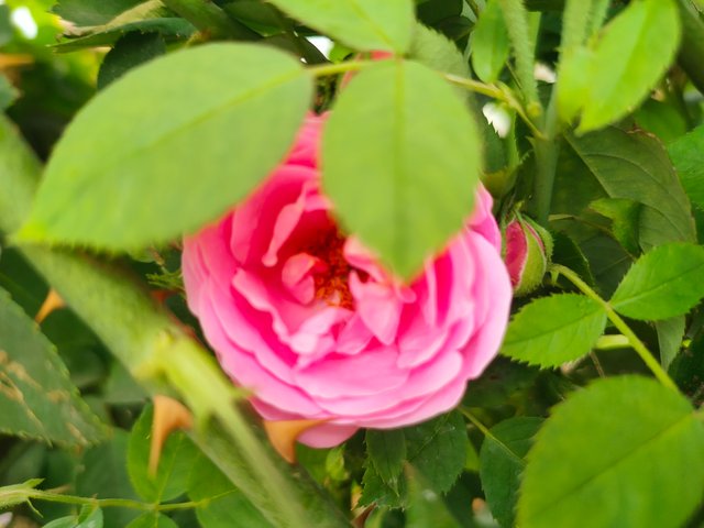 IMG20240410163204.jpg