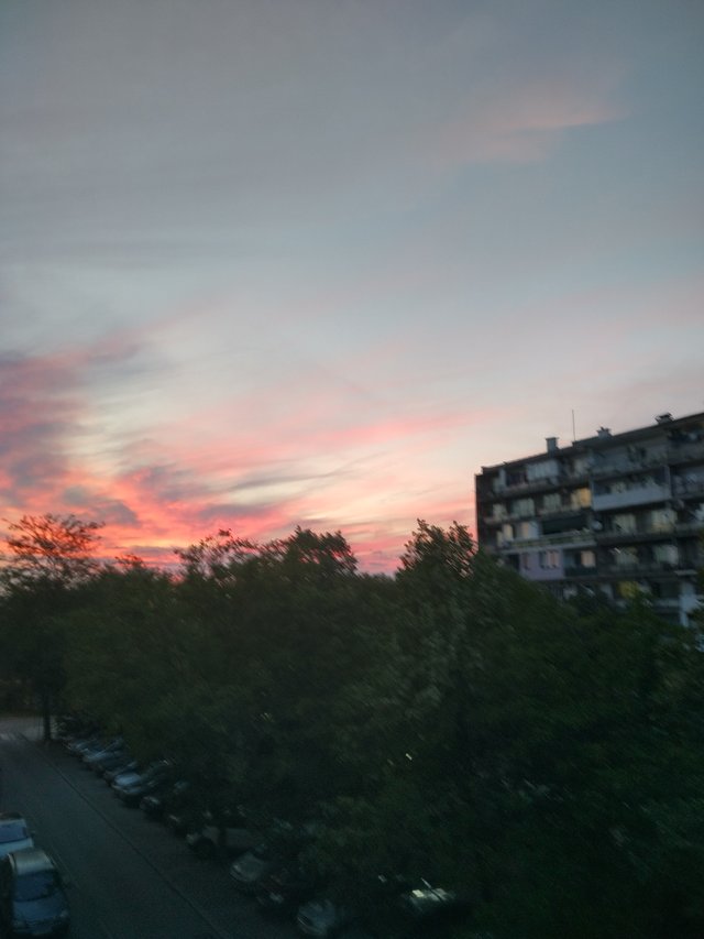 IMG_20250904_195834_HDR.jpg