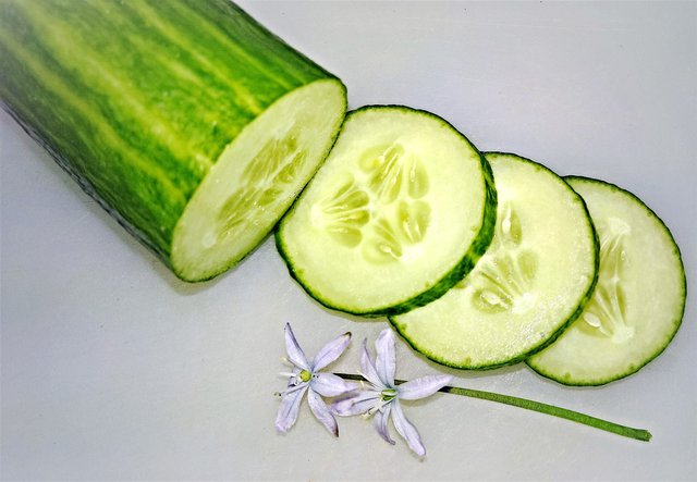 cucumber-5089995_1920.jpg